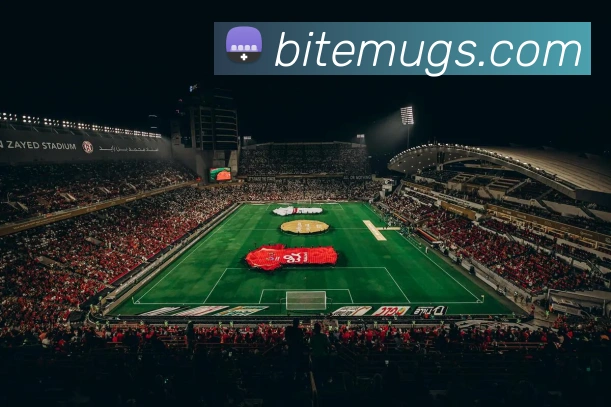 aoa网页版入口APP 封面图